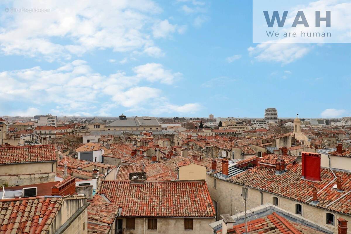 Appartement à MONTPELLIER