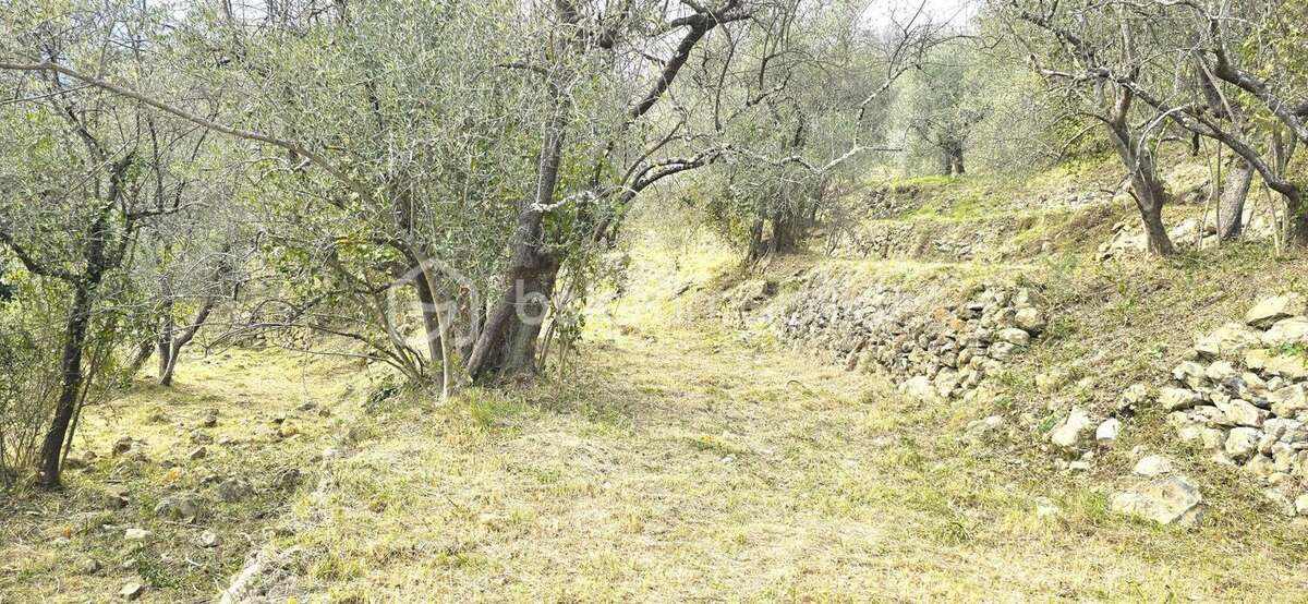 Terrain à PIERREFEU