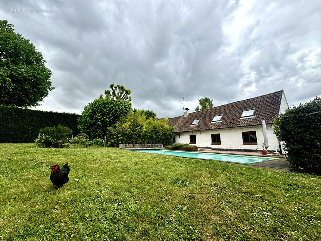 Maison à HALLUIN