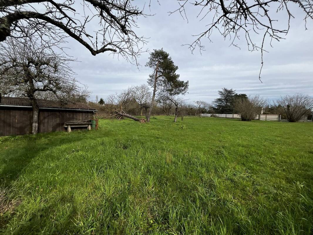 Terrain à OUZOUER-SUR-LOIRE