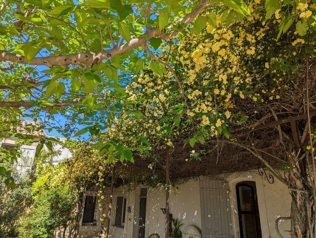 Maison à ORANGE