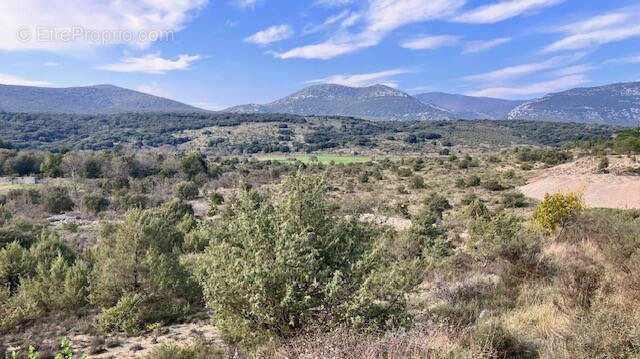 Terrain à MOULES-ET-BAUCELS