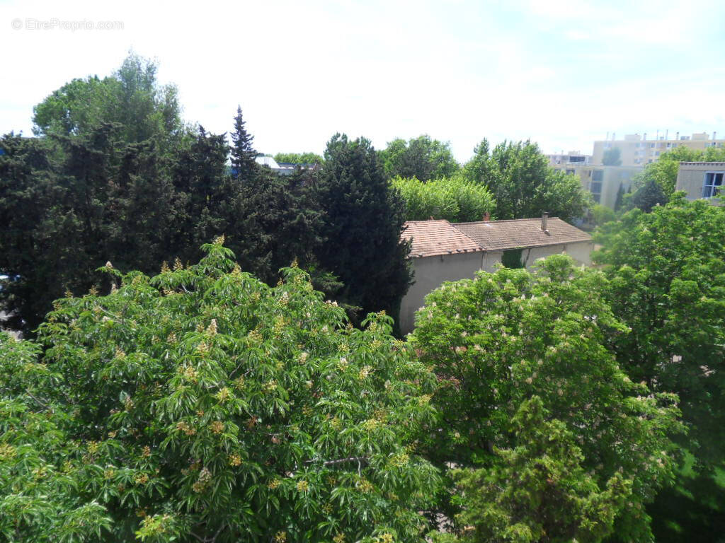 Appartement à AVIGNON