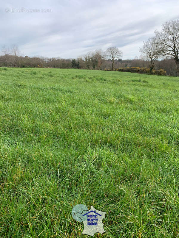 Terrain à SAINT-FRAIMBAULT-DE-PRIERES