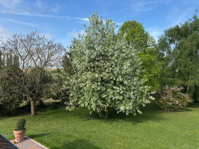 Maison à CAUDRY