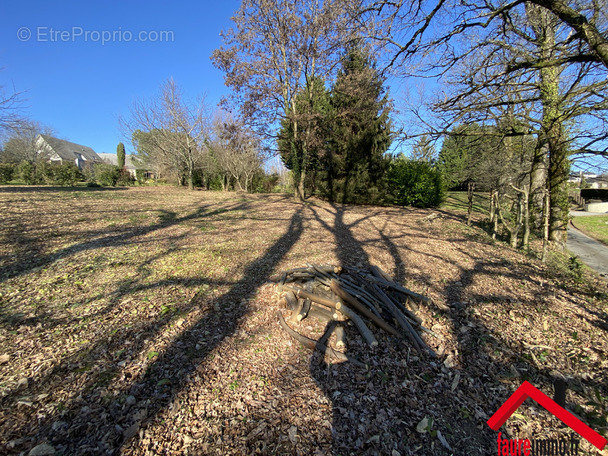 Terrain à DONZENAC