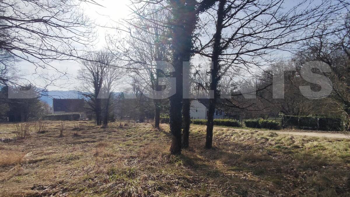1744823846418 - Terrain à VILLENEUVE-SUR-BELLOT