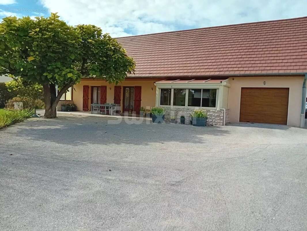 Maison à SAINT-MARTIN-EN-BRESSE