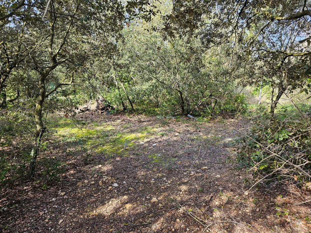 Terrain à CABRIERES-D&#039;AVIGNON