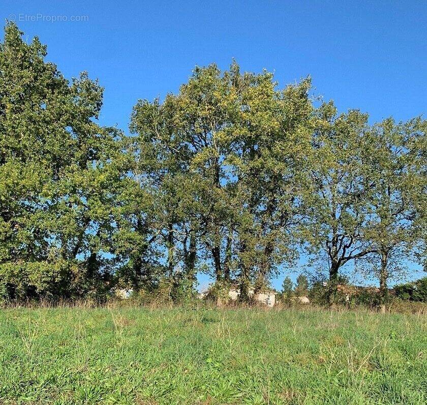 Terrain à FROIDFOND