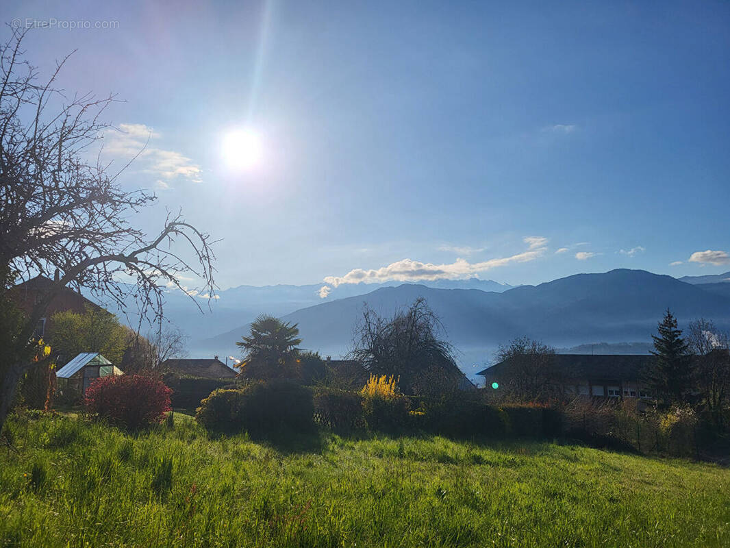 Terrain à SAINT-PIERRE-D&#039;ALBIGNY