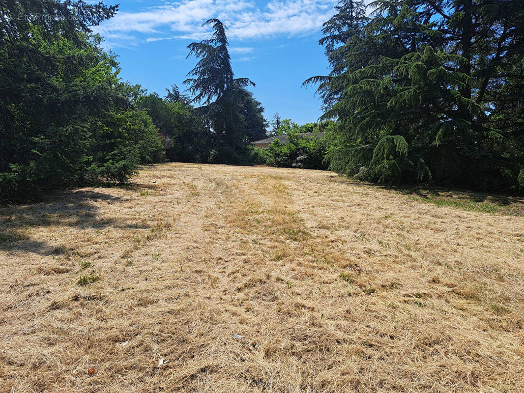 Terrain à POLLIONNAY