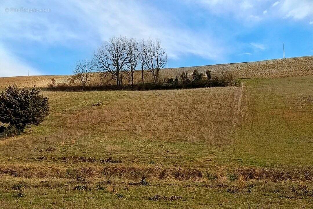 Terrain à GRAULHET