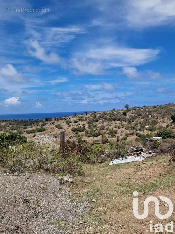 Photo 1 - Terrain à SAINT-MARTIN