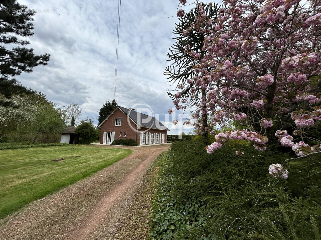 Maison à AIRE-SUR-LA-LYS
