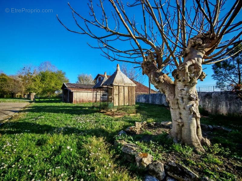 Maison à PONTONX-SUR-L&#039;ADOUR