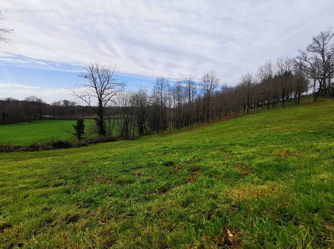 Terrain à MALEMORT-SUR-CORREZE