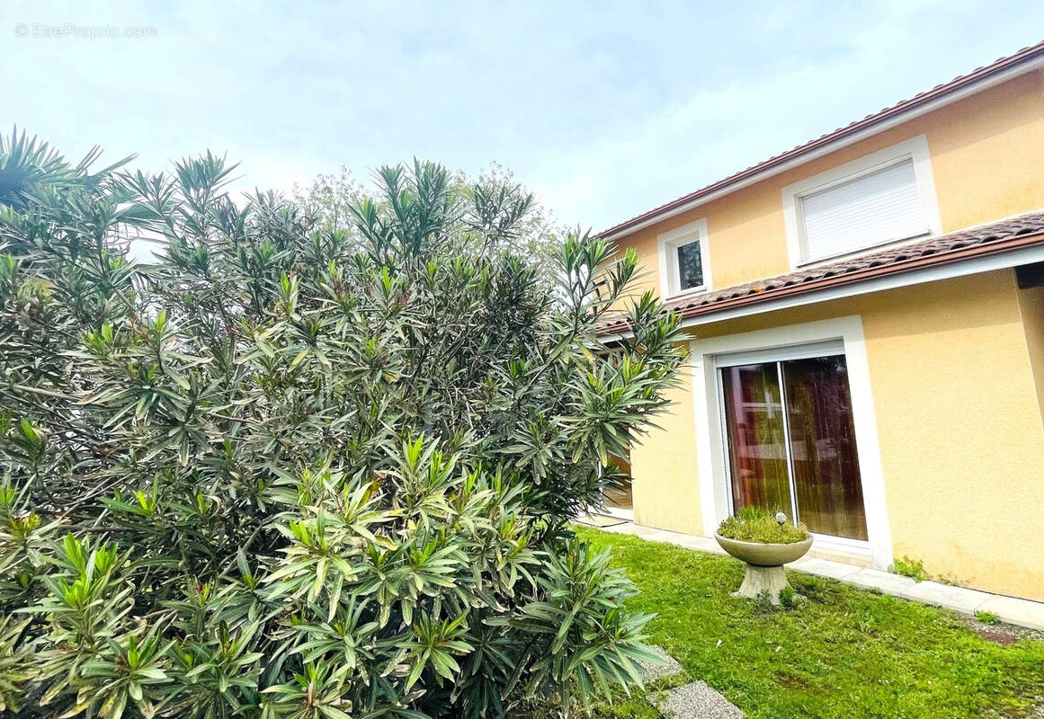 Maison à BENESSE-MAREMNE