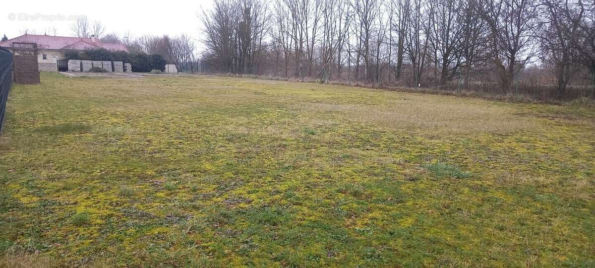 Terrain à VITRY-LE-FRANCOIS