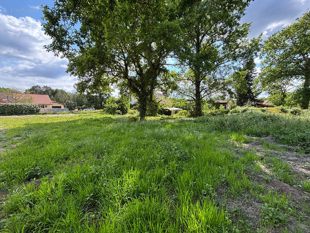Terrain à COMMENSACQ