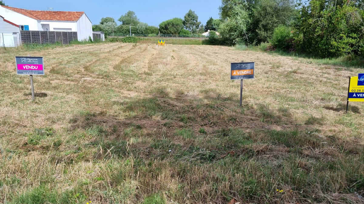Terrain à NOTRE-DAME-DE-RIEZ