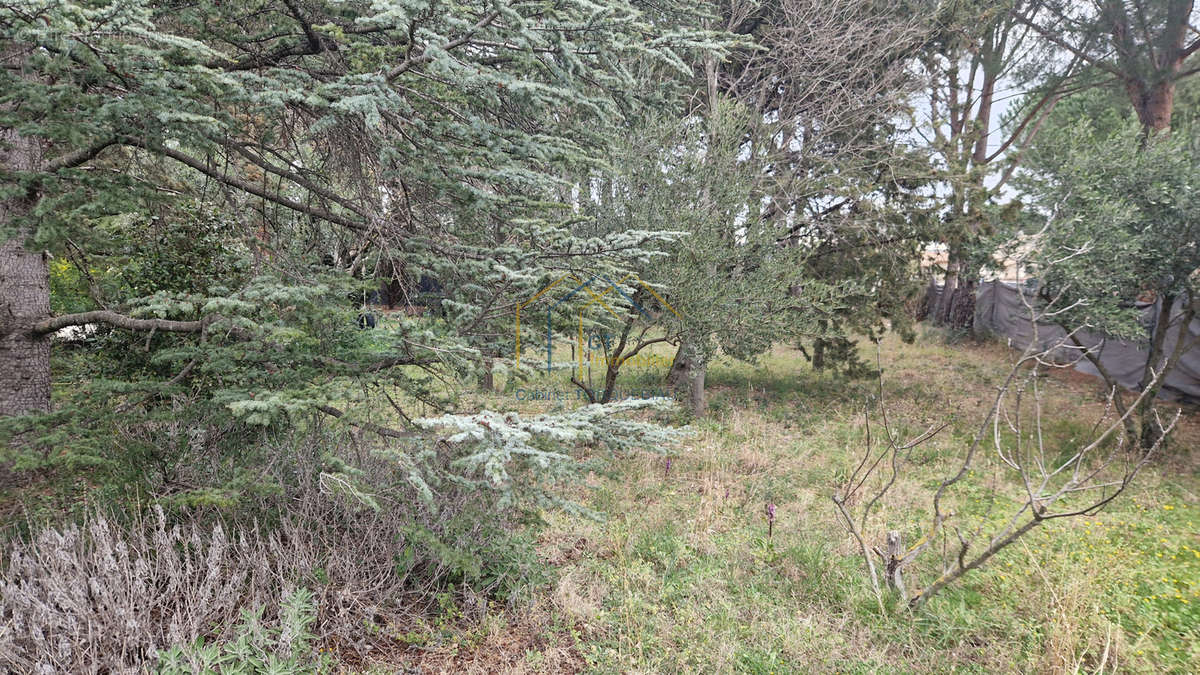 Terrain à SAINT-JEAN-DE-FOS