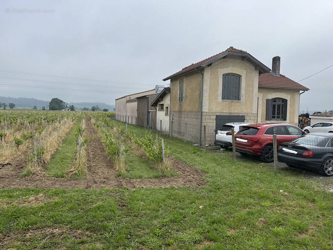 Autre à SAINT-EMILION
