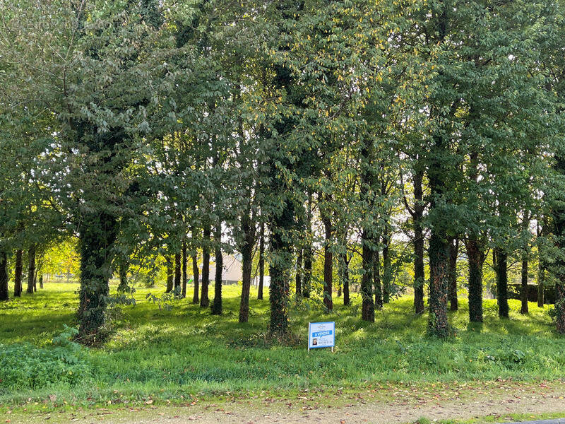 Terrain à VERNANTES