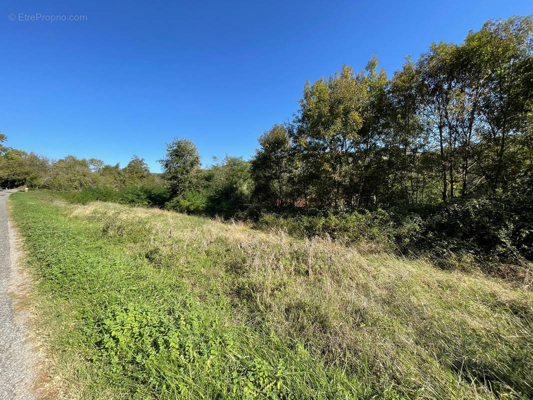 Terrain à LE MAS-D&#039;AZIL