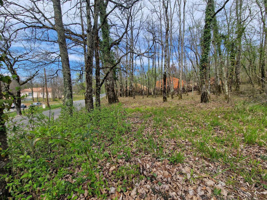 Terrain à NADAILLAC
