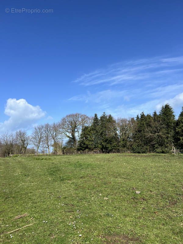 Terrain à ERQUY