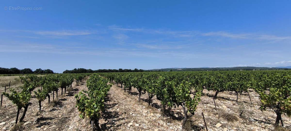 Terrain à VISAN