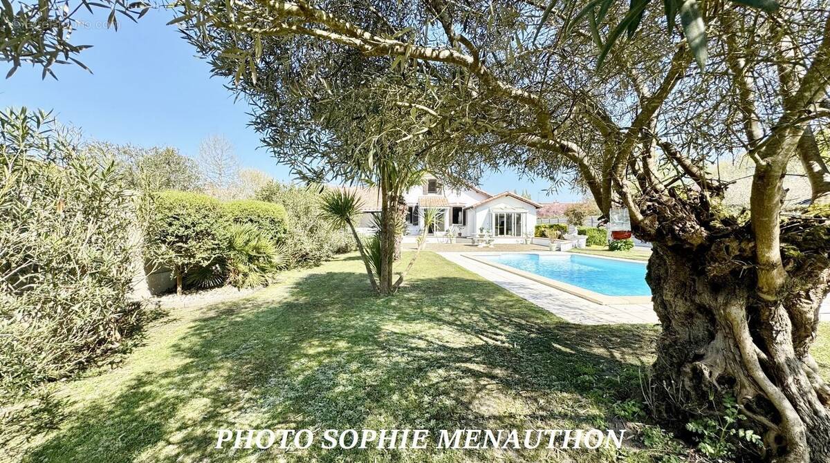 Maison à SAINT-VINCENT-DE-PAUL