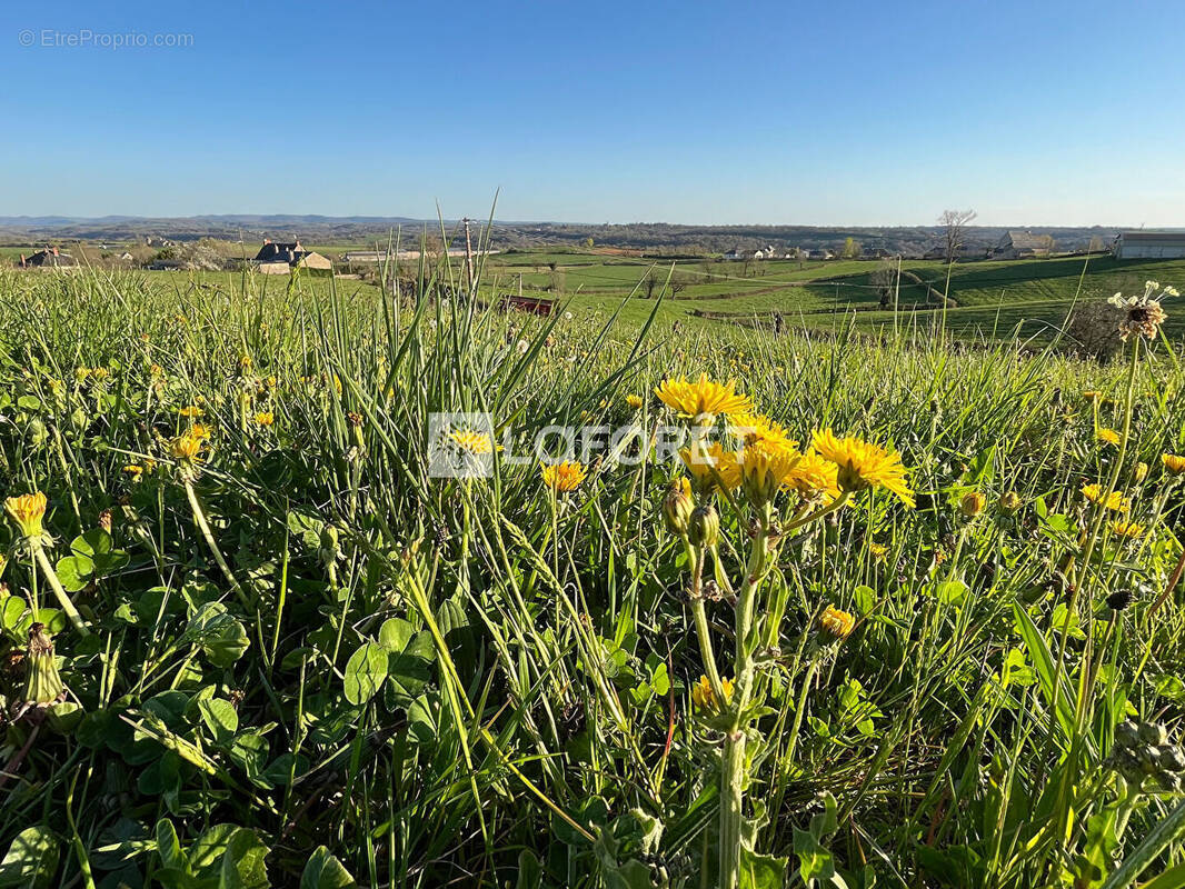 Terrain à RODELLE