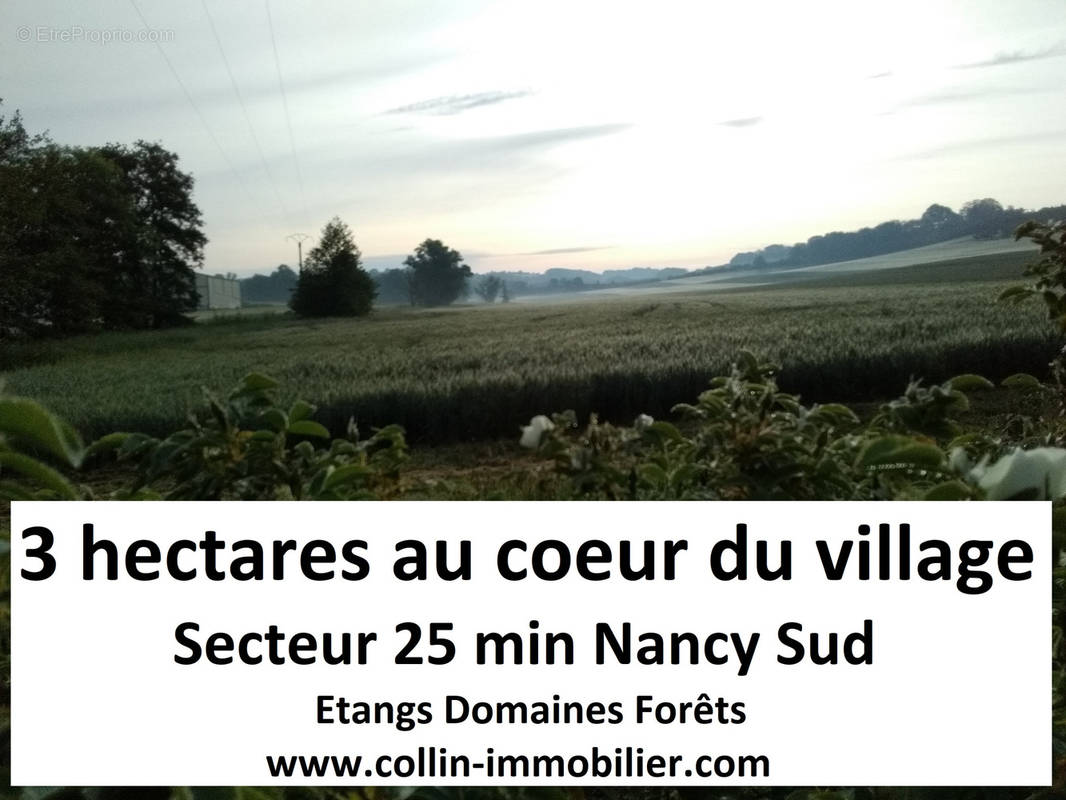 Terrain à NANCY