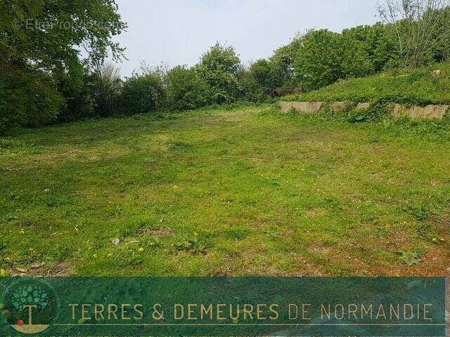 Terrain à CRIEL-SUR-MER