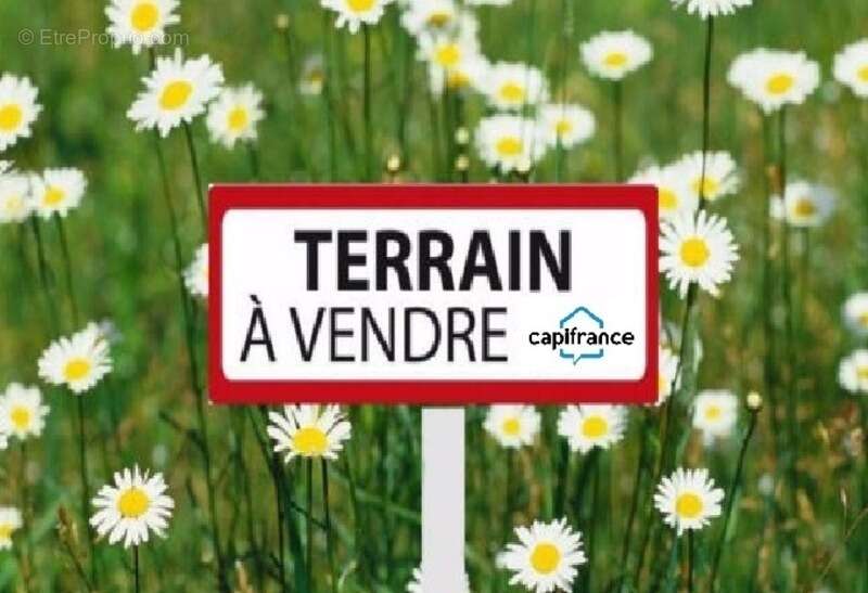 Terrain à SARRALBE
