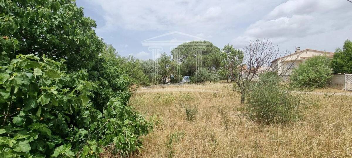 Terrain à SORGUES