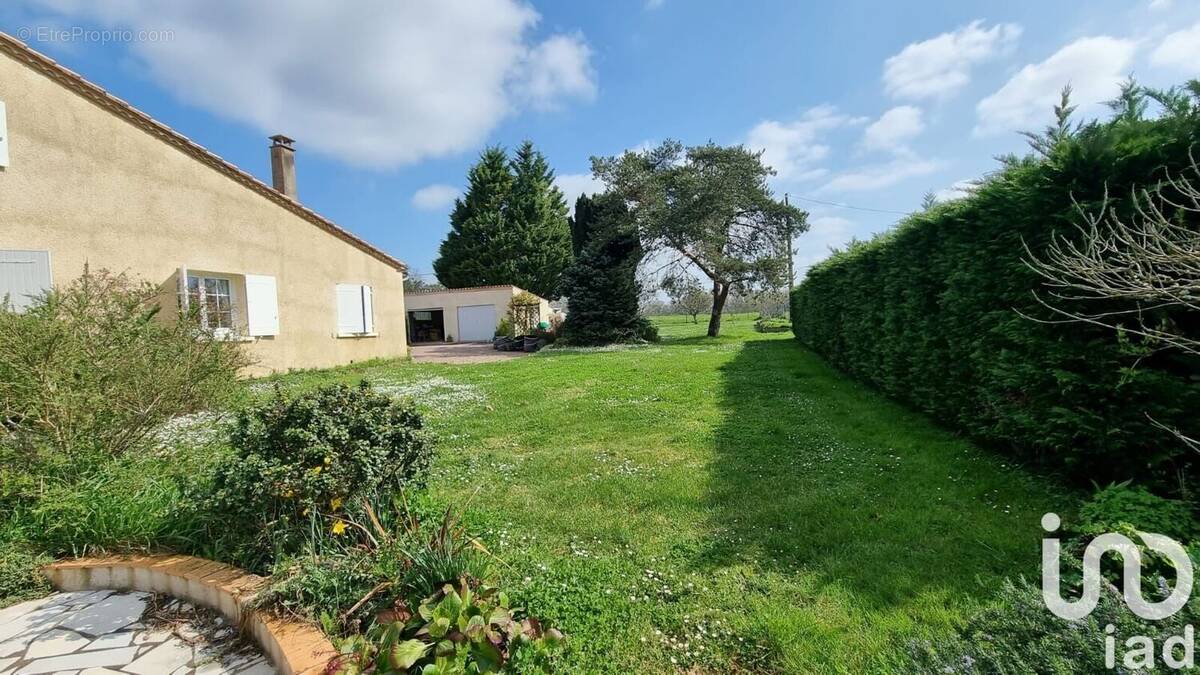 Photo 1 - Maison à SAUVETERRE-DE-GUYENNE