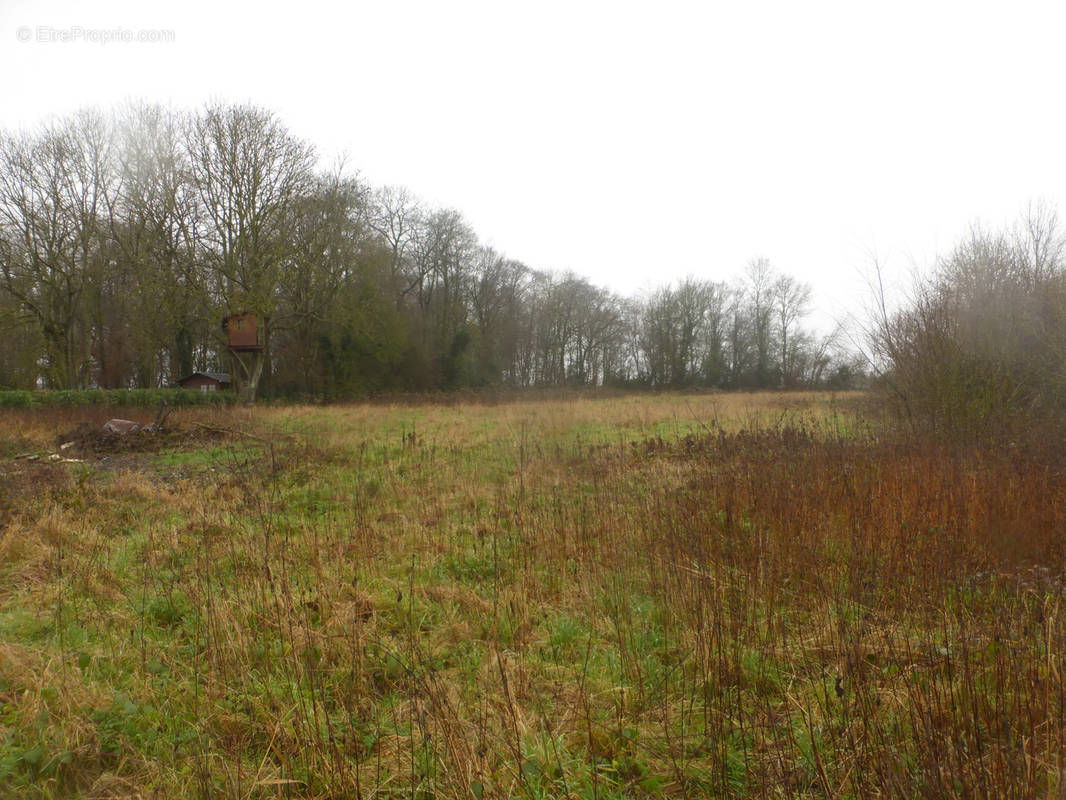 Terrain à GOINCOURT