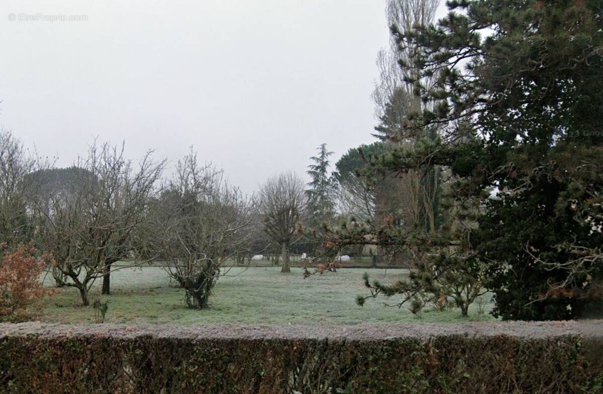 Terrain à MARSSAC-SUR-TARN