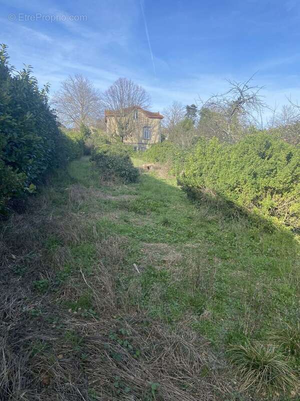 Terrain à COGNAC
