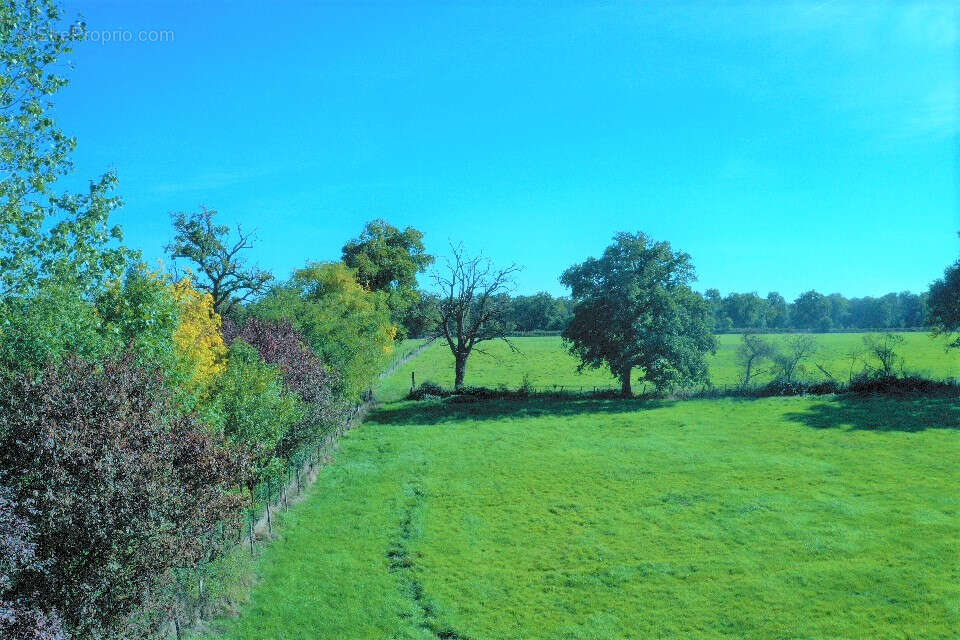 Terrain à BALBIGNY