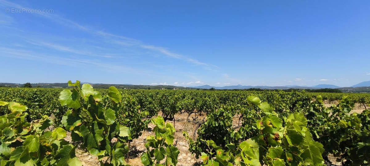 Terrain à VISAN