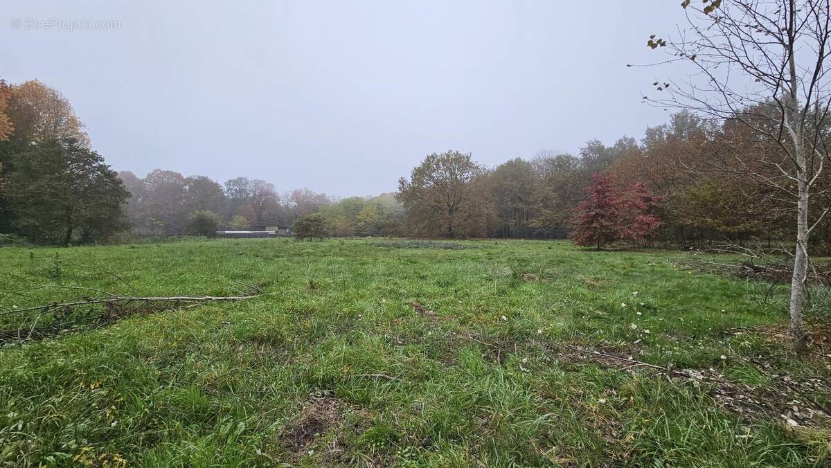 Terrain à LE TAILLAN-MEDOC