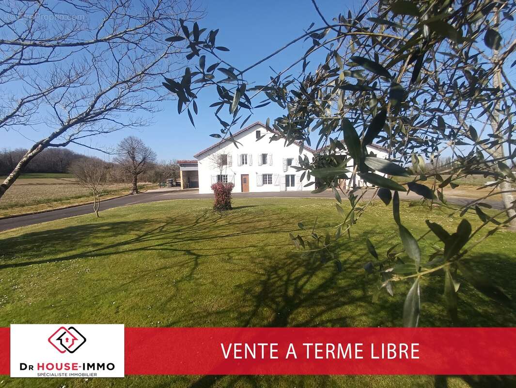 Maison à AMOU