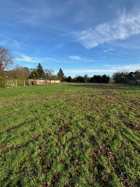 Terrain à FLINES-LEZ-RACHES