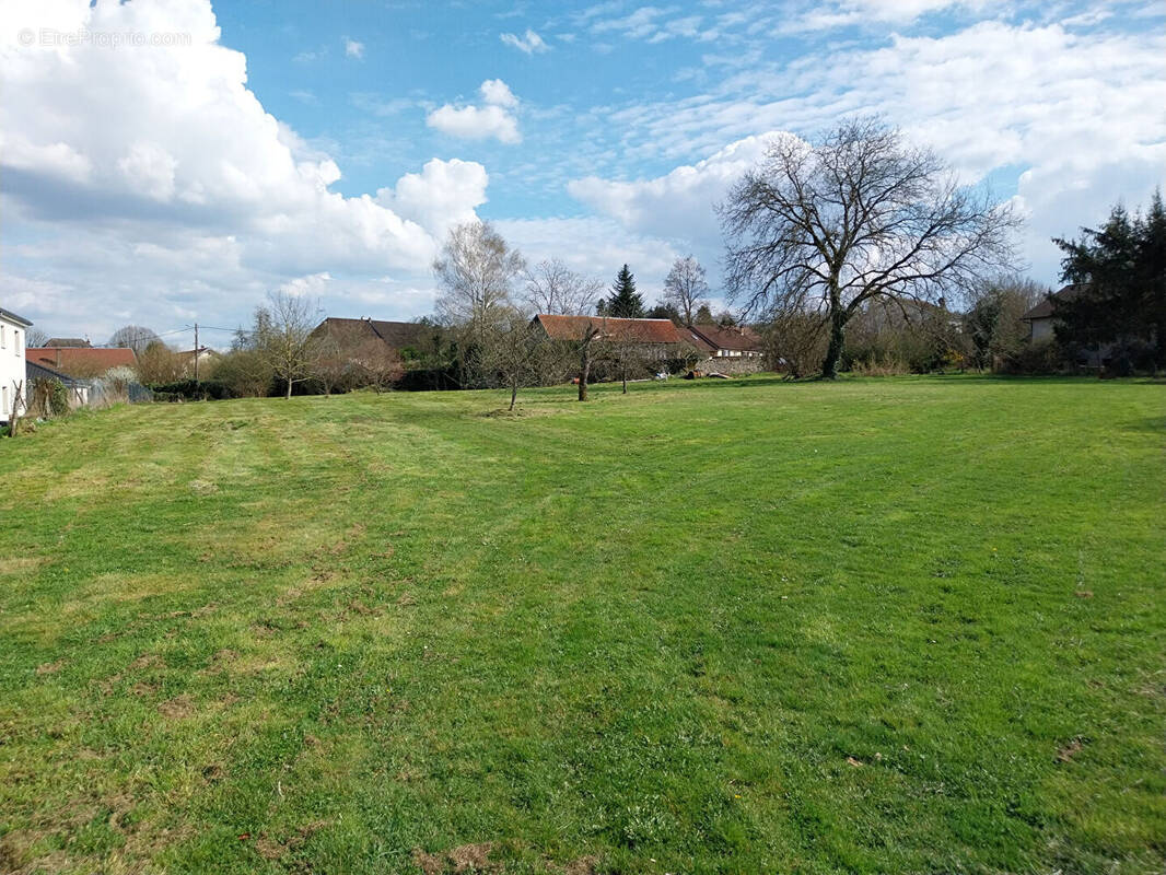 Terrain à CUSSEY-SUR-L&#039;OGNON