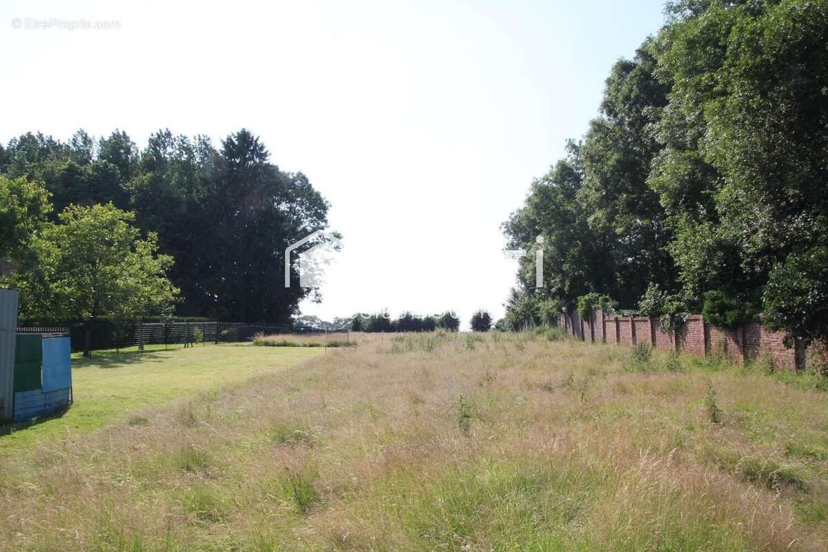 Photo 2 - Terrain à BUSIGNY