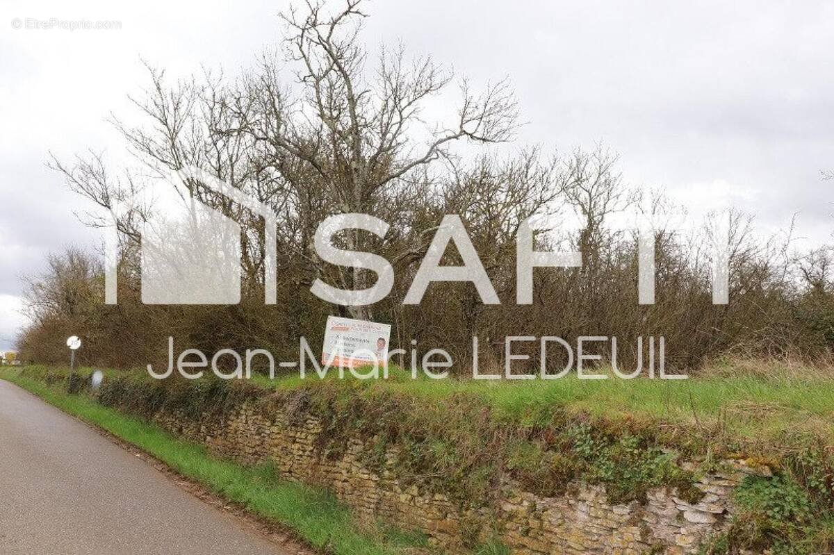 Photo 1 - Terrain à FONTENOY-SUR-MOSELLE